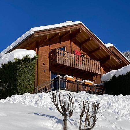 Chalets Du Danay Lachat Saint-Jean-de-Sixt Exteriér fotografie